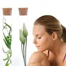 THE BEST 10 MASSAGE in ARROMANCHES-LES-BAINS, CALVADOS, FRANCE