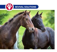 deworming horses deworming rotation schedule