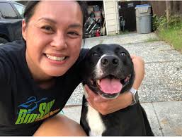 Managing Cushing's disease in dogs with exercise and medication