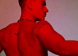 Joseph Strano (@josephstrano) • Instagram photos and videos