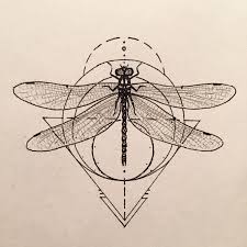 Oct 04, 2020 · dragonfly tattoos are a perfect choice for anyone going through or just arriving on the other side of a major life transition. Pin On Tattoo Inspiration