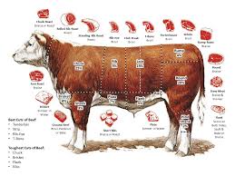 The Best And Worst Cuts Of Beef