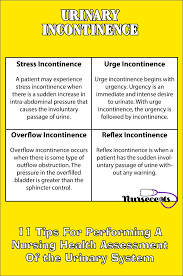 11 Tips For Performing A Nursing Health Assessment Of The Urinary System Nursecepts Stress Incontinence Geriatrics Nursing Urinary Incontinence