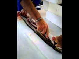 Per cucinarlo, potete scegliere tra la ricetta classica oppure lo. Pulire L Anguilla Youtube