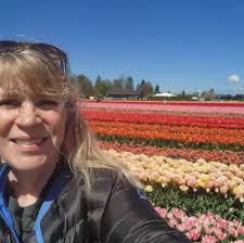 How to get started with beekeeping in the Bellingham area?