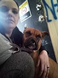 Free couch needs minor repair