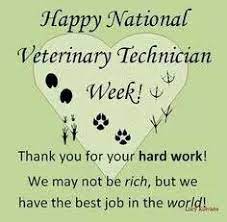 This list of vet tech gift ideas will provide some inspiration. It S National Vet Tech Appreciation Week Please Call Your Local Veterinary Practice And Talk To A T Vet Tech Quotes Veterinary Technician Week Veterinary Tech