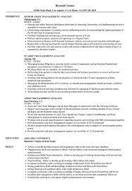 Fund analyst job description template. Asset Management Analyst Resume Samples Velvet Jobs
