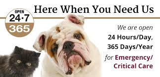 Our mission is to provide comprehensive care that pet parents want 24 hours a day, 7 days a week. Gsvs Emergency Critical Care Specialty Veterinary Hospital