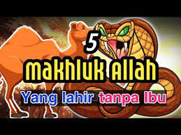 Senantiasa bertasbih kepada allah swt c. 5 Makhluk Allah Swt Yang Dilahirkan Tanpa Ibu Youtube