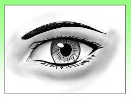 Very different from the previous videos as this video shows more about the coloring process of the eye rather than the drawing part. How To Draw A Realistic Manga Eye 12 Steps With Pictures
