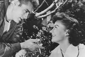 Bradford International Film Festival