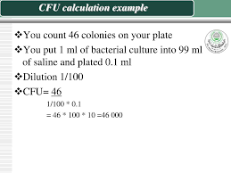 The visual appearance of a colony in a cell culture requires significant growth, and when counting colonies it is uncertain if the colony arose from one cell or a group of cells. Ppt The Serial Dilution Method Of Bacteria Enumeration Powerpoint Presentation Id 3749654