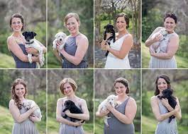Bouquet of flowers zu spitzenpreisen. Charlotte Bride Uses Puppies In Place Of Bouquets For Bridal Party Photos People Com