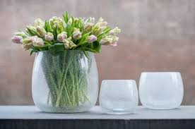Dutz Collection Glass Vase Vertical Garden