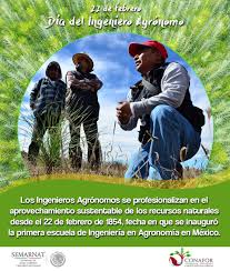 Por otra parte, también suele impulsar obras de desarrollo rural. Conafor V Twitter Los Ingenieros Agronomos Son Parte Fundamental Del Trabajo En El Sector Primario Que Comprende Actividades Como La Agricultura La Silvicultura La Pesca La Mineria Y El Aprovechamiento Forestal Entre