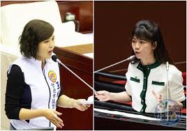 高嘉瑜初入政壇時，曾擔任羅文嘉的特助 ，2005年中華民國國民大會代表選舉以24歲之齡成為史上最年輕的國民大會代表 。 2007年獲民進黨黨內提名，參選 2008年立法委員選舉 臺北市第六選舉區 ，在2007年10月，由前客委會主委 羅文嘉 出馬，使其被撤換。 çŽ‹æ¬£å„€æŒ‡é«˜å˜‰ç'œèµ´æ­è€ƒå¯Ÿ åƒæˆ'å…'é¤…ä¹¾ ç¶²åé…¸ ä½ å…'å­åŽ»å¹¹å˜›