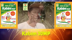 Kabim 30WP
