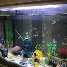 Aquarium cupang unik berikut gambarnya yang cantik cara membuat aquarium ikan cupang, aquascape mini ikan cupang seperti ini cara membuatnya sumber : 30 Trend Terbaru Dekorasi Aquarium Unik Fatiha Decor