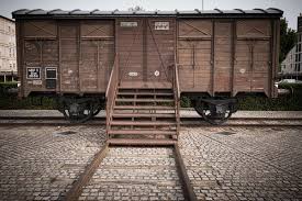 Image result for cattle cars