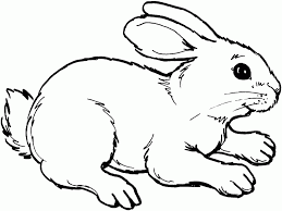 Gambar mewarnai binatang kelinci lucu. Gambar Mewarnai Hewan Sketsa Hewan Gambar Hewan Gambar Kelinci