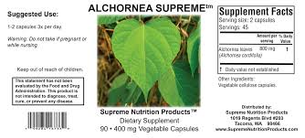 Image result for Alchornea cordifolia