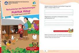 We did not find results for: Kunci Jawaban Tema 1 Kelas 3 Sd Mi Halaman 36 Pertumbuhan Tinggi Dari Kelas 1 Sampai 3 Dan Cara Mensyukurinya Portal Jember