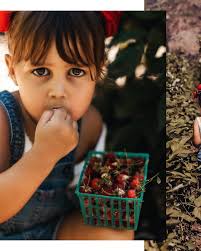 Nicole Marie Whiting (@fourpetalsphotography) · Instagram photos and videos