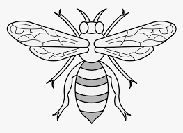 We did not find results for: Bee Traceable Heraldic Art Honey Bee Hive Clip Art Traceable Bee Hd Png Download Kindpng