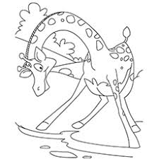 Maybe you would like to learn more about one of these? Top 20 Free Printable Giraffe Coloring Pages Online