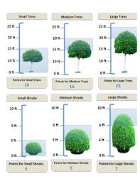Conducting Tree And Shrub Estimates When And How