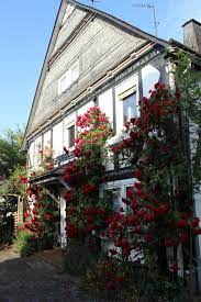 The property is 24.2 miles from rostock and free private parking is featured. Haus Dornroschen Winterberg Aktualisierte Preise Fur 2021