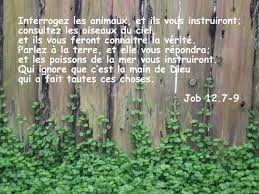 La Nature Nous Parle Du Createur Impossible De Croire Que Tout Ce Qui Nous Entoure Soit Le Fruit De L Evolution L Evolu Je Crois En Dieu Faire Connaitre Dieu