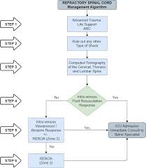 Image result for Spinal Shock