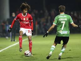 Covilha Benfica Taca Da Liga Imagens Sl Benfica