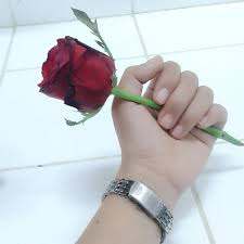 Gratis untuk komersial tidak perlu kredit bebas hak cipta. Seindah Apapun Bunga Itu Tetap Akan Layu Dan Mati Steemit