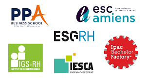 Bachelor Ressources Humaines Bachelor Rh Le Guide Complet