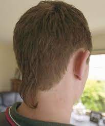 Pin On Haircut