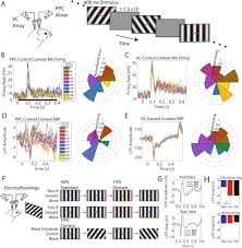 آخرین اخبار جهان و حادثه های جنجالی، فشن و مد روز، آرایش و زیبایی، آشپزی، تصاویر دیدنی، خانواده و کودکان، فیلم و ویدئو، پزشکی و سلامت، دکوراسیون، عکس های بازیگران، سرگرمی، دانستی ها Stimulus Specific Regulation Of Visual Oddball Differentiation In Posterior Parietal Cortex Scientific Reports