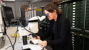 Surveillance around the country