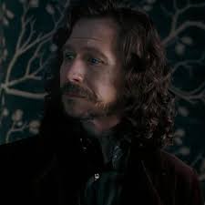 Did you know that Sirius Black had a younger brother named Regulus Arcturus  Black? Regulus was a Death Eater, making most of the Black family proud.  Just like his cousin, Bellatrix Lestrange,