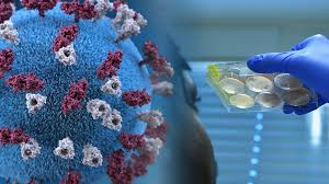 See more of pcr ტესტი • pcr test on facebook. ÙƒÙŠÙ ÙŠØªÙ… Ø§Ù„ÙƒØ´Ù Ø¹Ù† ÙÙŠØ±ÙˆØ³ ÙƒÙˆÙÙŠØ¯ 19 Ø¨Ø§Ø³ØªØ®Ø¯Ø§Ù… ØªÙ‚Ù†ÙŠØ© Rt Pcr ÙÙŠ Ø§Ù„ÙˆÙ‚Øª Ø§Ù„Ø­Ù‚ÙŠÙ‚ÙŠ Iaea