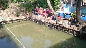 Aplikasi sekolah pius bakti utama gombong. Alkaromah Hari Minggu Youtube