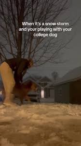 Katie Garton (@katiegarton15)