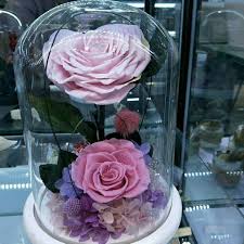 For more bonsai and plants , please check our website: Preserved Flowers Last For Years High Quality Luxury Roses Special Precious Gift Personalized Ha How To Preserve Flowers Precious Gifts Handmade Crafts