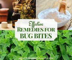 Mosquito bites itch because your immune system sends histamine to the area to repair damage. Home Remedies For Mosquito Bites 20 Natural Ways To Stop Itch Fast