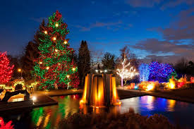 Denver Botanic Gardens Is The Most Enchanting Place In Denver Best Christmas Light Displays Christmas Light Displays Denver Christmas