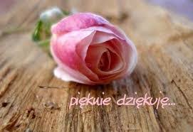 Pięknie dziękuję … – Poseł RP Józefa Szczurek-Żelazko – Ziemia brzeska,  bocheńska, tarnowska