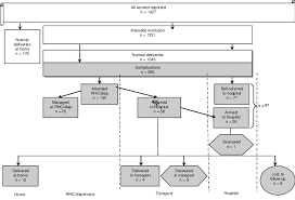 Flow Chart On Normal And Complicated Deliveries And