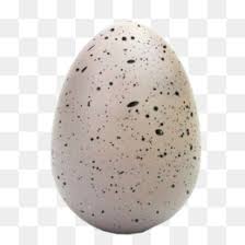 We did not find results for: Dinosaur Egg Png Free Download Animals Icon Animal Kingdom Icon Gorgosaurus Dinosaur Shape Icon